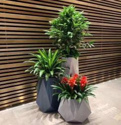 北京公司大樓綠植花卉創新服務 租擺、養護與配送一體化生態方案