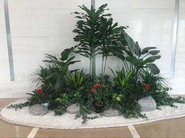 室內綠植租賃與養護 打造詩意生活的綠色呼吸